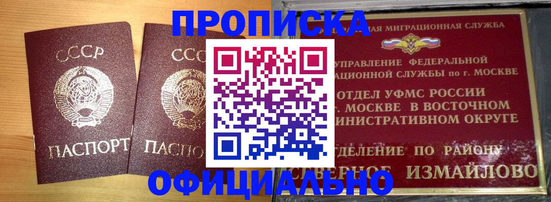 купить прописку в Полярных Зорях